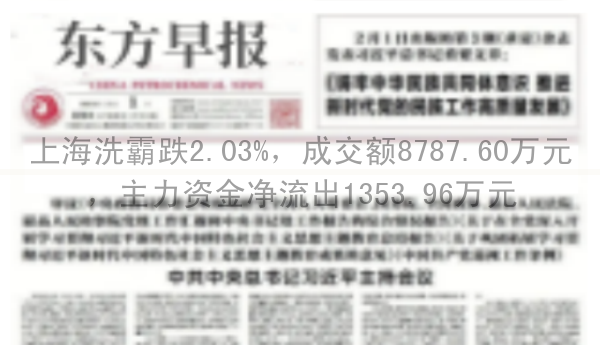 上海洗霸跌2.03%，成交额8787.60万元，主力资金净流出1353.96万元