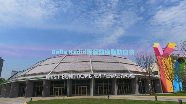 Bella Hadid晚餐健康脂肪食物