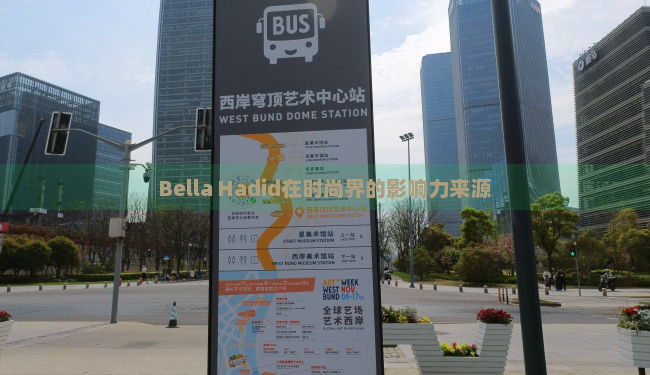 Bella Hadid在时尚界的影响力来源